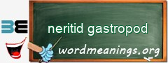 WordMeaning blackboard for neritid gastropod